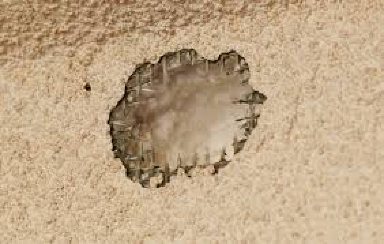 Woodpecker Stucco Damage, what to do now in 2020? Sky Stucco Systems Contractor