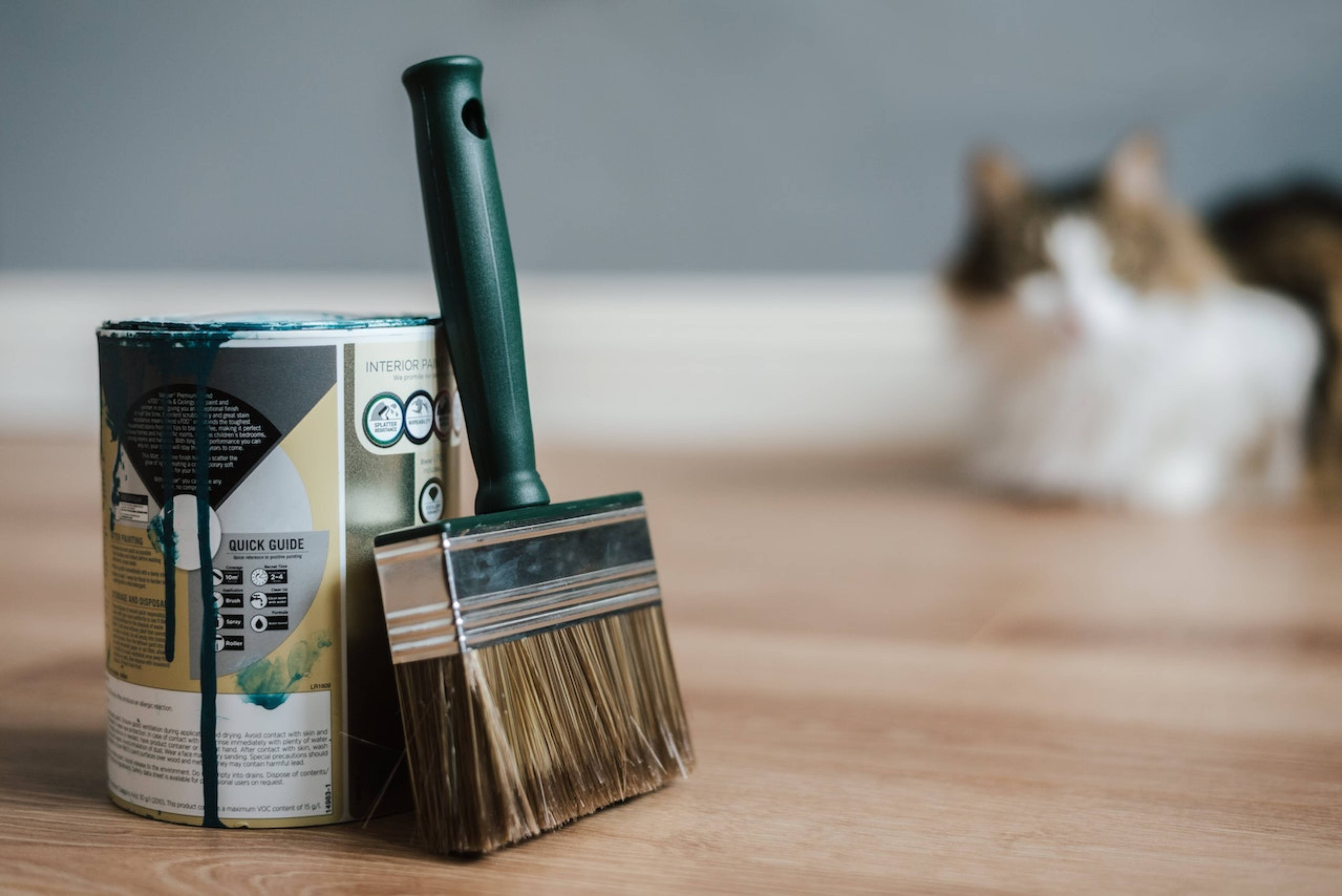 A can of paint next to a cat on the floor.
