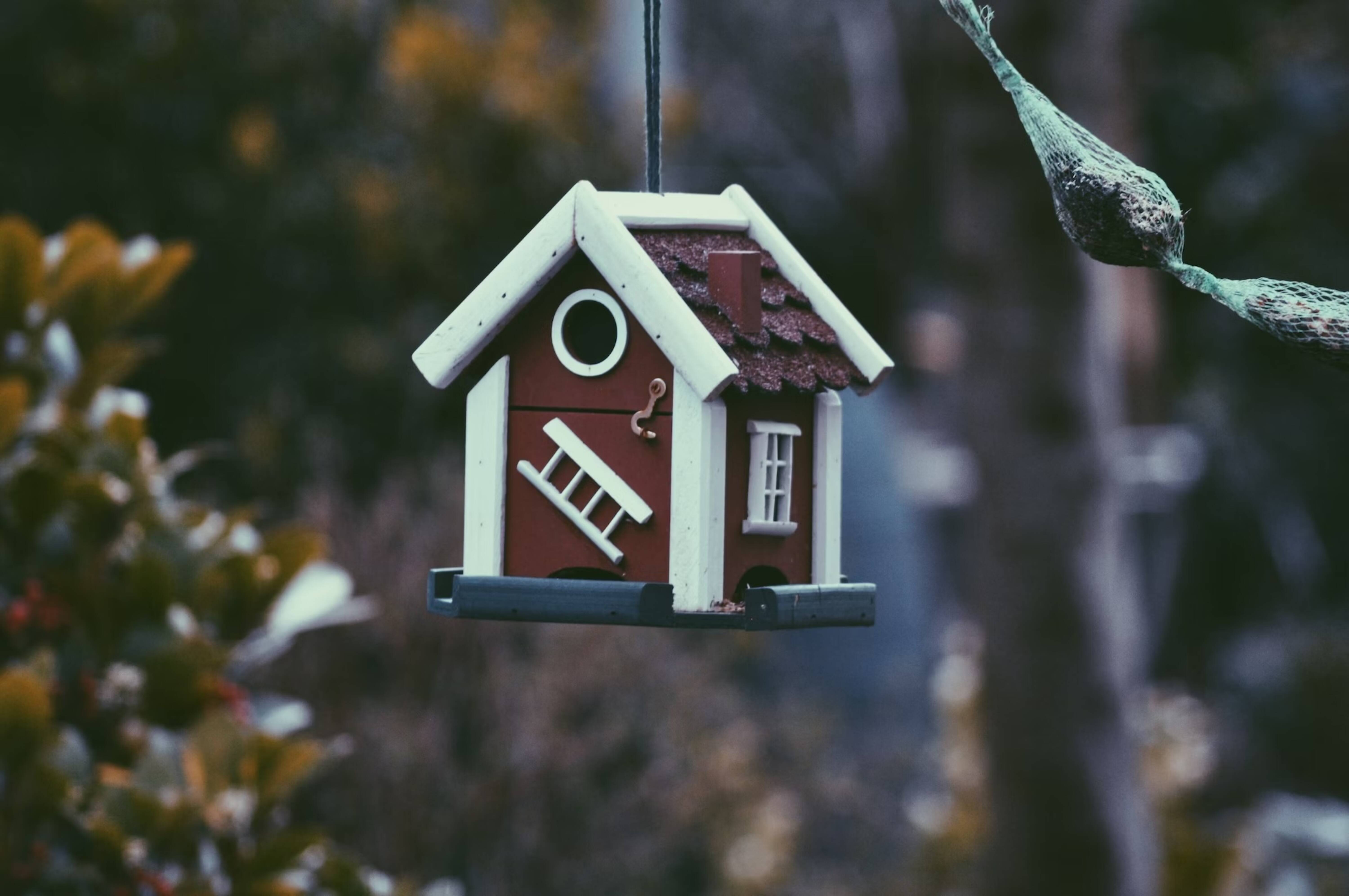 A miniature house ornament hanging from a tree.
