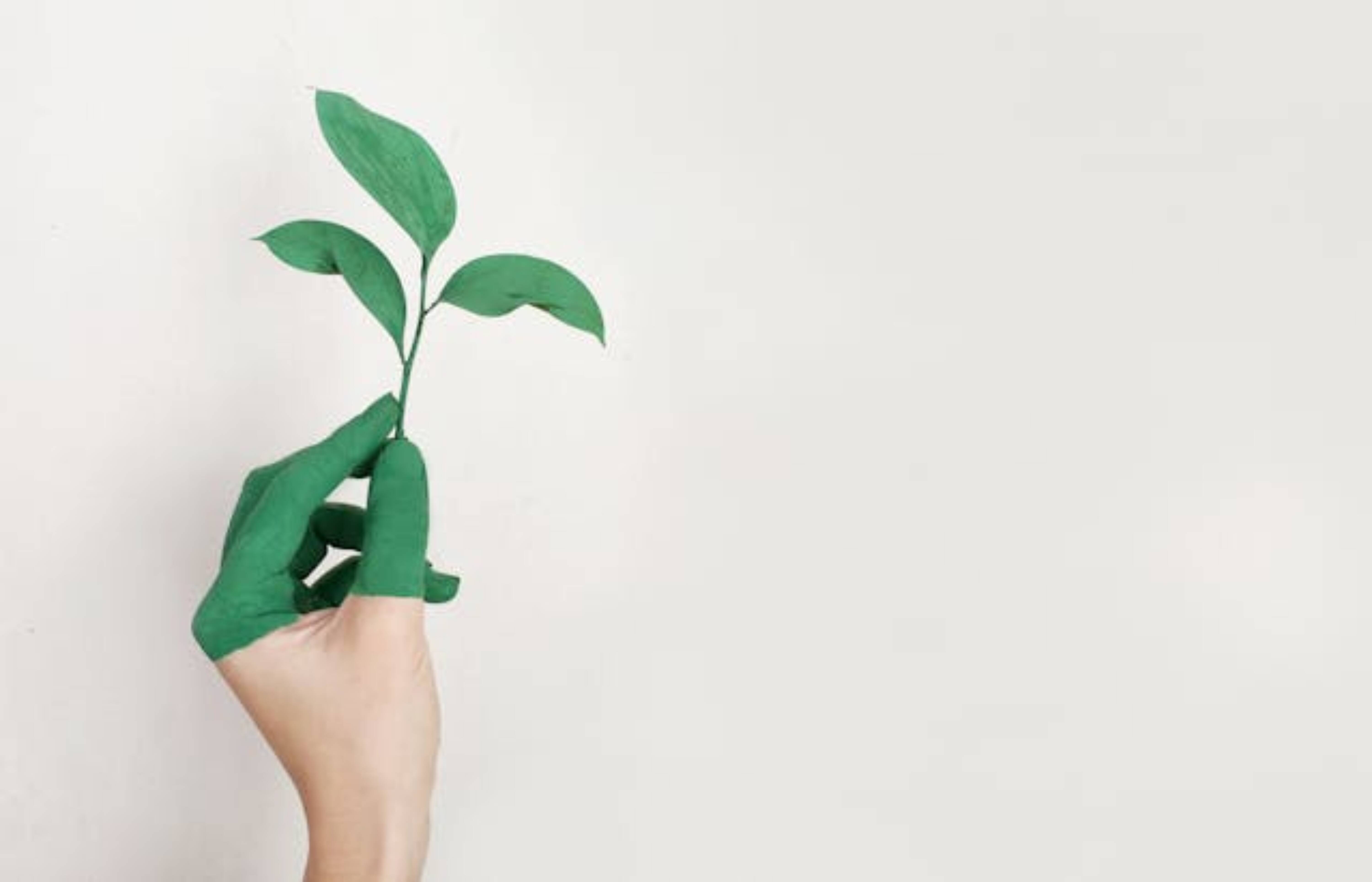 A hand painted green holding a plant